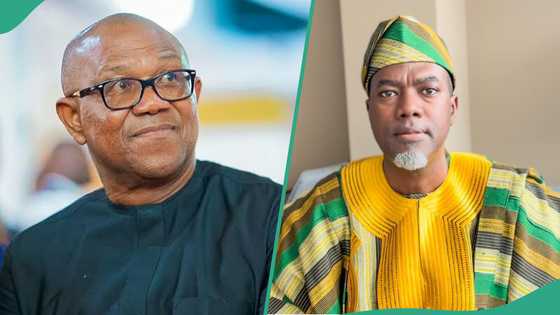 “How Peter Obi’s lies chased foreign investors away from Nigeria,” Reno Omokri speaks