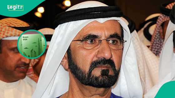 UAE publishes 4 eligibility criteria for foreigners to get Abu Dhabi Green Visa