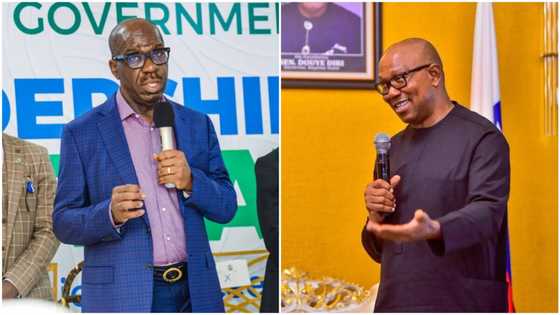 Godwin Obaseki: PDP governor endorsed Peter Obi? Aide speaks