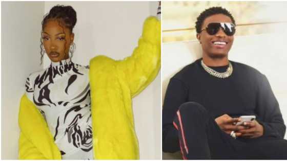 Wizkid is responsible for it: Hilarious reactions as Tems makes cryptic post about being pregnant on Instagram