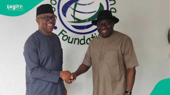 Peter Obi ya magantu kan 'barazanar' Jonathan ga takararsa da Kwankwaso