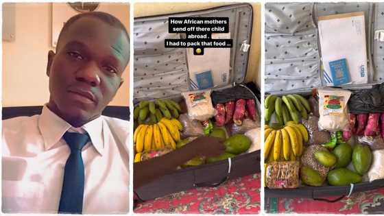 "Our food is more delicious": Man travelling to USA loads potatoes, banana, beans, and other foods in box