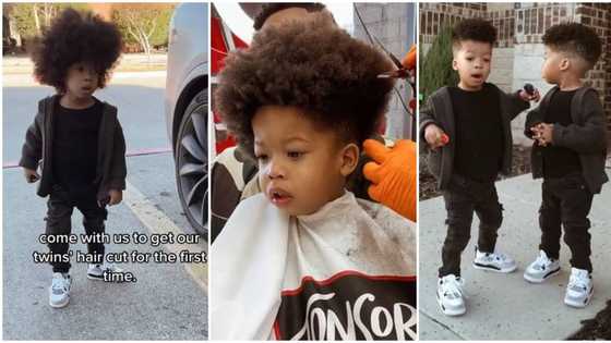 "This is so sweet": Adorable twin babies with thick dark hair get first cut, saloon video goes viral