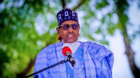 Bandits are living in a fool's paradise - Buhari condemns Sokoto killings