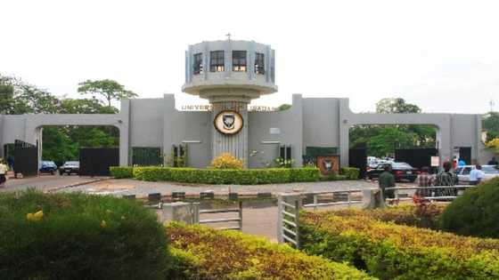 Breaking: University of Ibadan finally names Adebowale as 13th VC