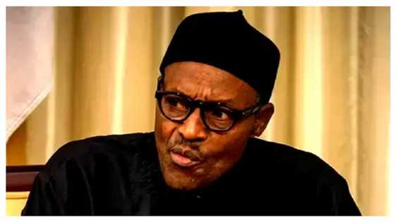 Zaben 2023: Buhari Ya Bayyana Adadin Kujerun Da Jam'iyyar APC Za Ta Lashe