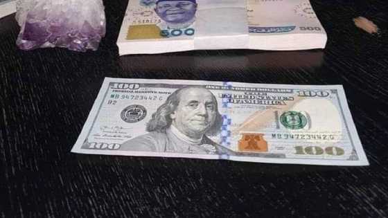 "It remains naira card": Nigerians react as CBN lifts dollar deposit restriction on bank accounts