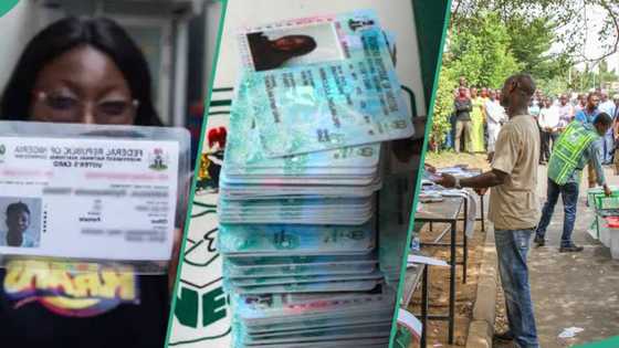 Have PVC, know your polling unit and other simple tips you need to vote in Imo, Bayelsa, Kogi