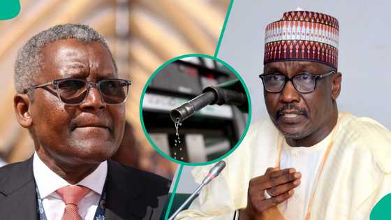 Rewane explains how Nigerians will benefit from Dangote, NNPC fuel price war