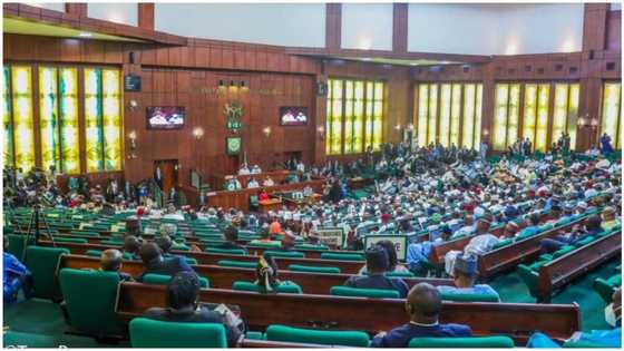 Electoral Act: Governors lobby Senate, Reps on Direct Primary to elect party candidate
