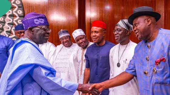 APC chieftain in Germany lists 5 things governors must do to grow Nigeria's economy
