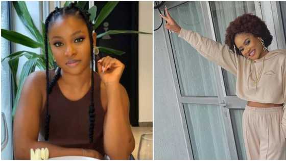 BBNaija: Bella, Phyna speak on their chances of winning during final diary session with Biggie, videos trend