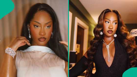 Met Gala 2025: Tems rocks ankara dress, Nigerians react, call for her stylist as photos trend
