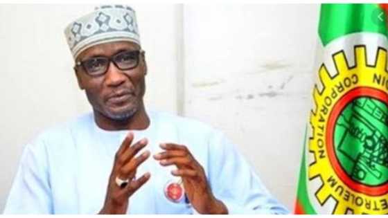 Shugaban hukumar NNPC ya bayyana amfanin rufe iyakan Najeriya da Buhari ya yi