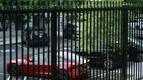 Trump may get rid of his Tesla after Musk row: official