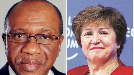 CBN disagrees with IMF over N1 trillion loans to farmers, shows evidence to support its position