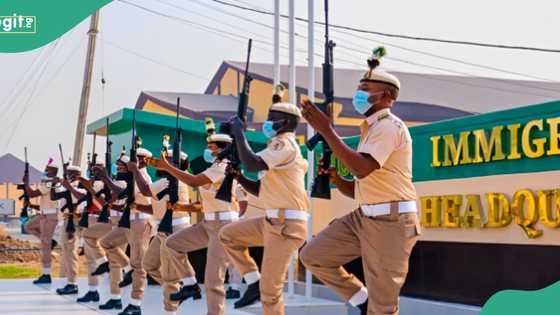 Public alert: “Is Nigeria Immigration Service currently recruiting? NIS sends message to young Nigerians