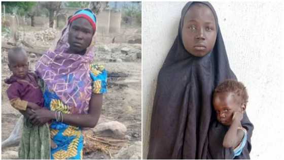 Boko Haram: Abubakar Shekau's name resurfaces as Chibok girls speak about Sambisa Forest
