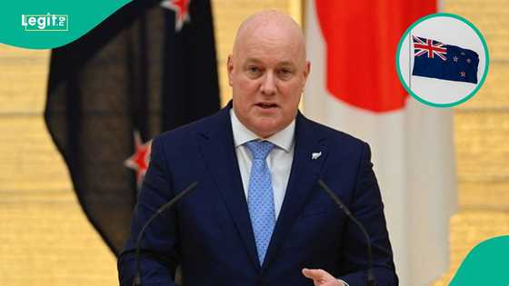 New Zealand changes visa process for families of foreign workers and students, lists those affected