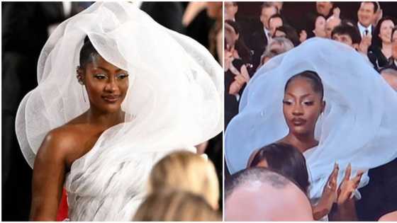 Oscars 2023: Tems dragged for rocking cloud-like outfit that blocked the view of top Hollywood stars at event