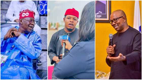 Tinubu or Peter Obi? APC chieftain reveals who Anambra youths will vote for