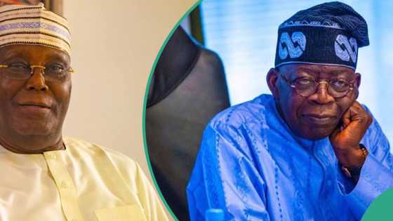 CSU certificate saga: How US law protects Tinubu’s academic record privacy, APC chieftain explains