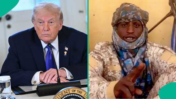 Did ISWAP terrorists threaten US president Trump after air strikes? Security expert analyses video