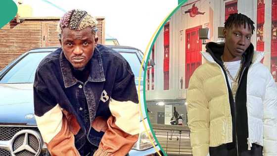 “You no get hit, you dey buy Ferrari”: Portable lambastes Zinoleesky in viral video, fans react