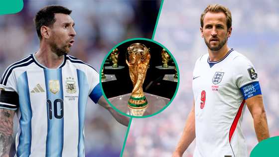 England vs Argentina: Mysterious cat predicts 2026 FIFA World Cup semi-final