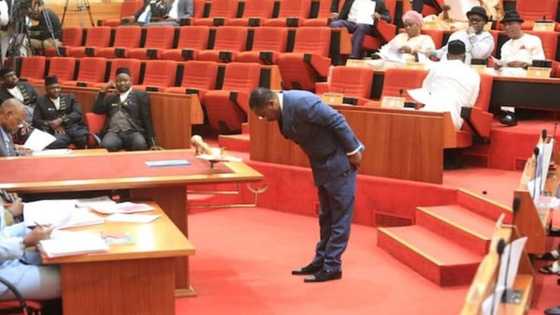 Rashawa: Sanatan APC zai mika bukatar yanke hannun masu satar kudin kasa