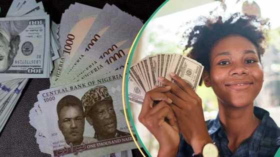 Darajar Naira ta karu a kan Dala, Ana fatan 'yan Najeriya su samu sauki