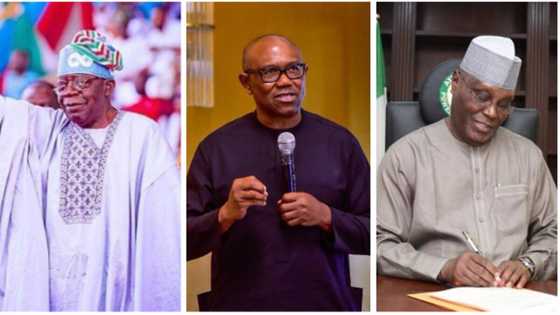 2023: Atiku, Tinubu shiver as Peter Obi opens op on Nigeria’s most preferred candidate, leader