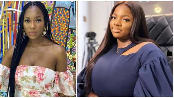 BBNaija: Fans react as Vee explains making her food spicy to keep certain people from eating