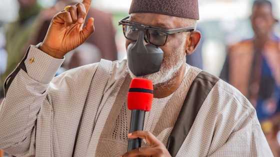 BREAKING: You can't singlehandedly oust herdsmen from Ondo - Presidency tells Akeredolu