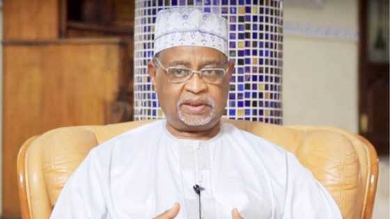 Tuna baya: Buhari ya kasa cika alkawurransa saboda bashi da mukarrabai nagari, Bashir Tofa