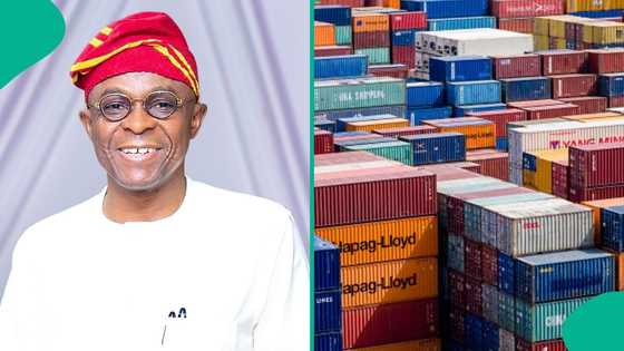 "Why we must leverage simplified export": NPA boss woos investors