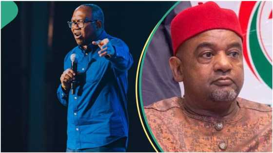 Peter Obi speaks on Labour Party taking over from PDP