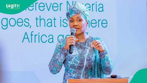 Visa-on-arrival policy: PEBEC DG assures foreign investors, speaks on new entry system