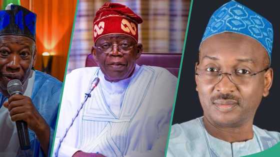 “How Tinubu will win 2027 election”: APC chief sends crucial message to Ganduje