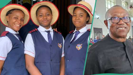Peter Obi jubilates as Anambra school wins top national competition