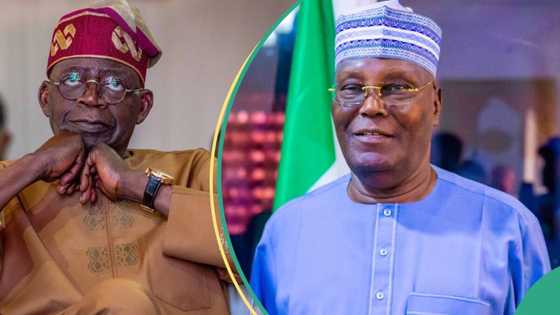 Atiku reveals what is at stake as he challenges Tinubu’s Chicago certificate