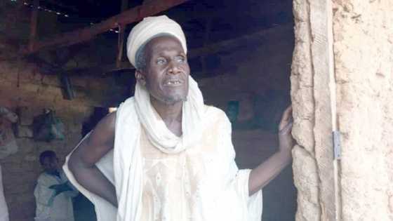 Outrage as Kaduna govt arrests cleric who camped 17 female Almajiri among boys in Zaria