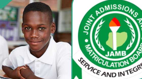 JAMB 2024: Intelligent Benue school head boy scores 95 in mathematics, 329 on aggregate