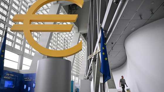 ECB to hold interest rates steady with inflation subdued