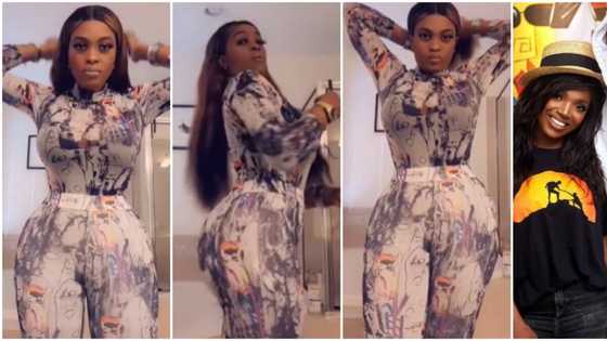 No wonder he is confused: Nigerians react as 2baba's baby mama Pero flaunts banging body