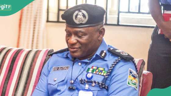 IGP Disu takes action on creation of state police, “Among other responsibilities"
