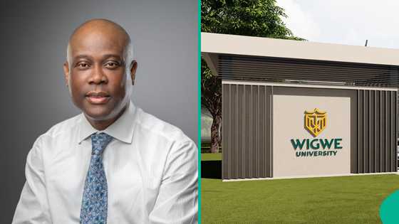 Wigwe University announces 30% fees reduction for some students, mentions minimum JAMB score