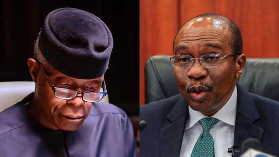 Godwin Emefiele: Osinbajo's aide spoke truth about suspended CBN boss, says public affairs analyst