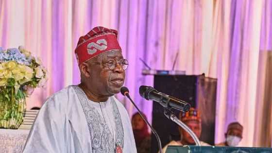 Sabon Harin Zamfara Da Kano: Tinubu Ya Yi Allah Wadai, Ya Ce Dole a Takawa Kashe-Kashe Birki a Najeriya