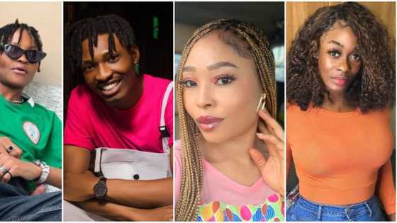 Efe, Uriel, Laycon and 5 other BBNaija stars who joined show to boost their music careers